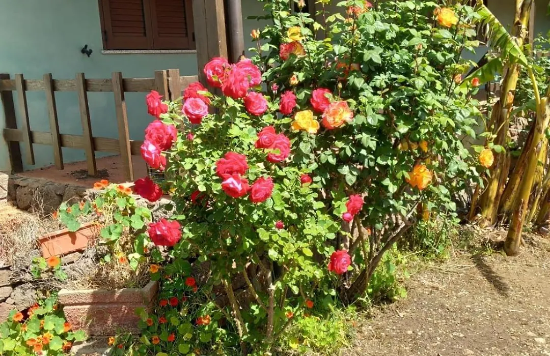 Agriturismo Su Tiresi-1